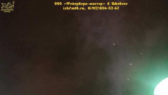 №21 2015 Свадьба Паркин