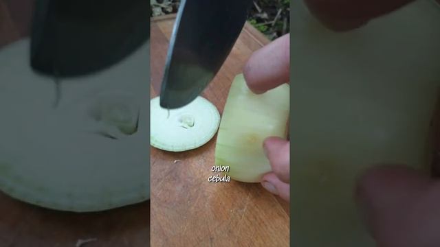 Огромный сэндвич из свиной лопатки и ананаса