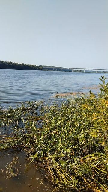 р Ока.Убывание воды.