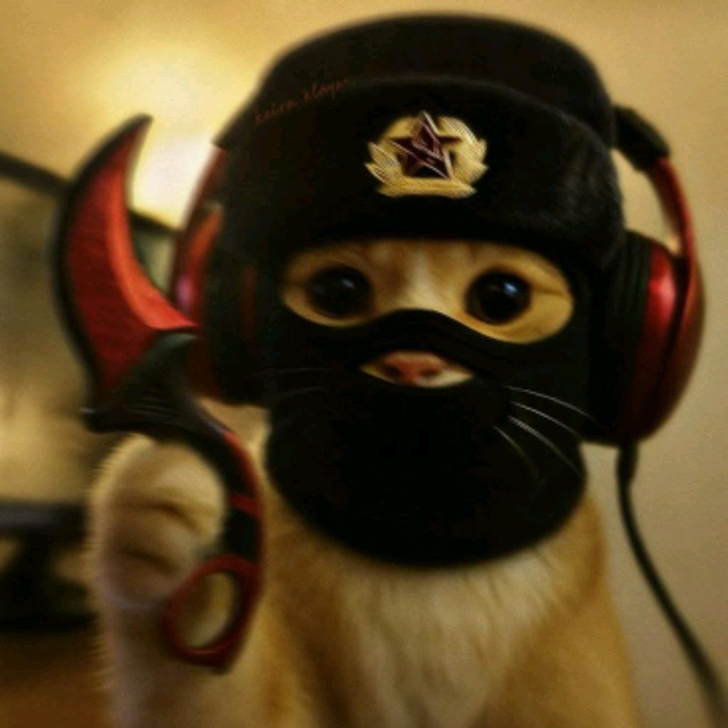 играю в бимку