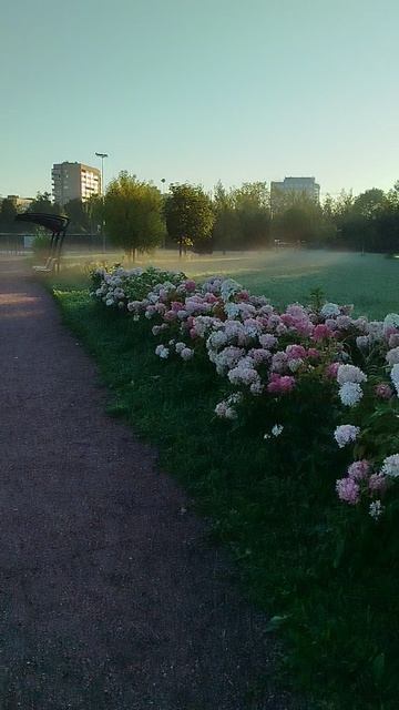 утро