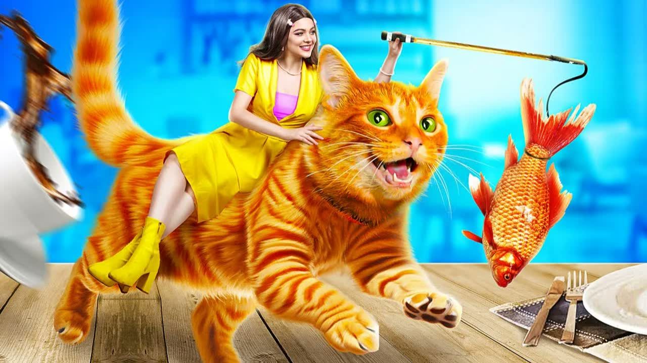 Мы спасли бездомных котят! Еда для домашних животных