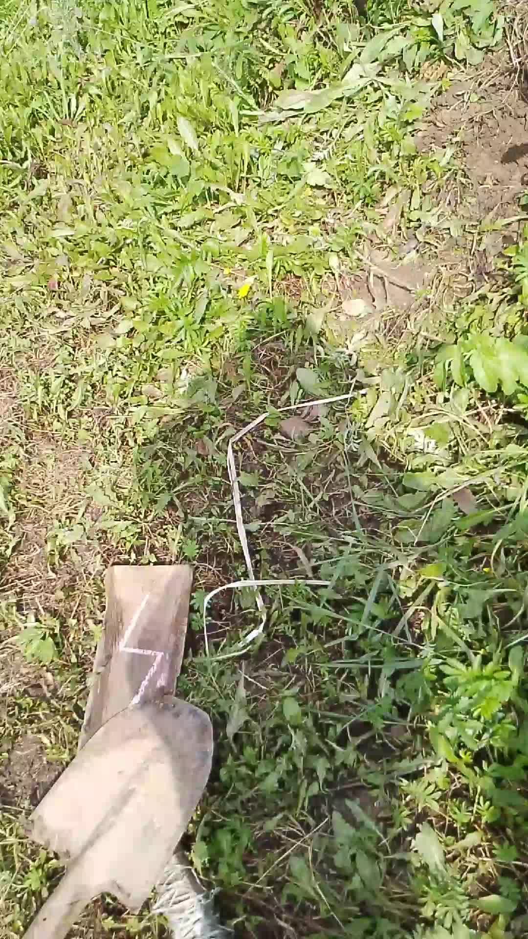 хз