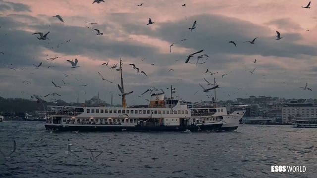 Добро пожаловать в Стамбул!