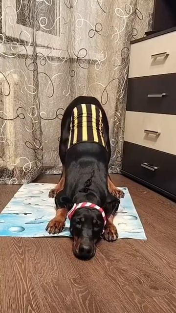 VID_20260825_203502_611.mp4