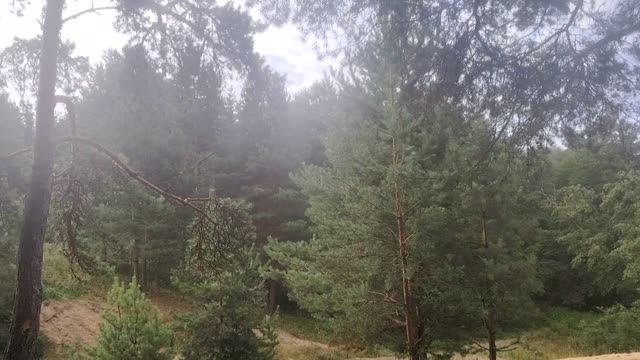Жить по системе 