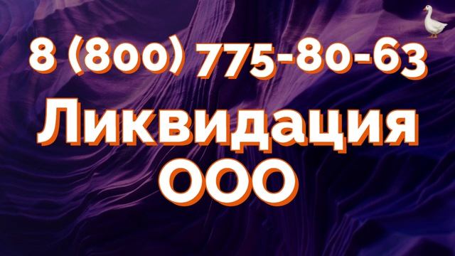 Ликвидация ООО с полным сопровождением