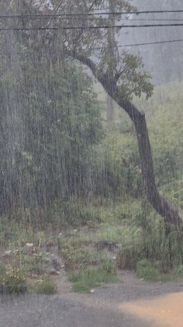 дождь во Врангеле