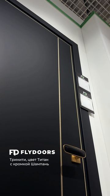 Алюминиевая кромка цвета Шампань в межкомнатных дверях фабрики FlyDoors