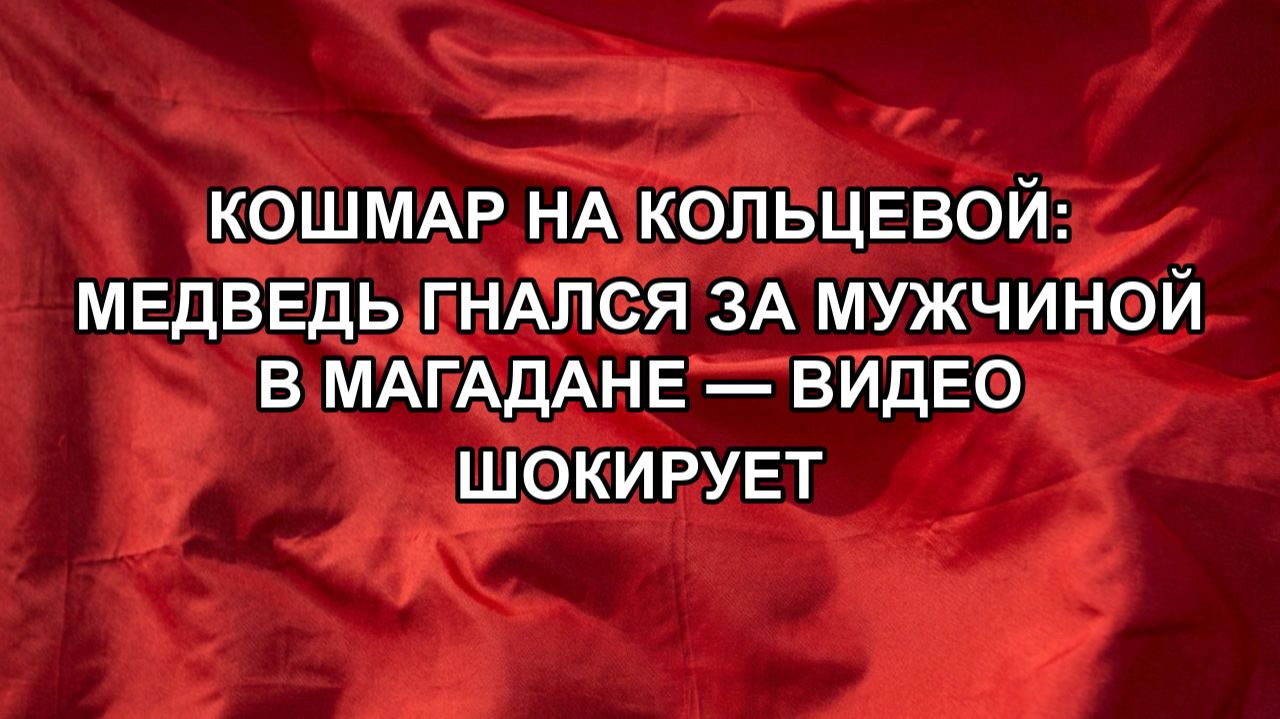 Кошмар на Кольцевой: медведь гнался за мужчиной в Магадане — видео шокирует