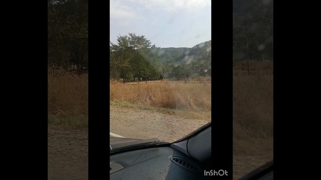 Работа с элементами отдыха. Краснодарский край. То сто не попало в стрим #работа #отдых #развлечения