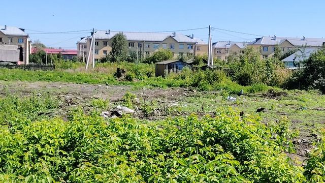 VID_20260811_132310