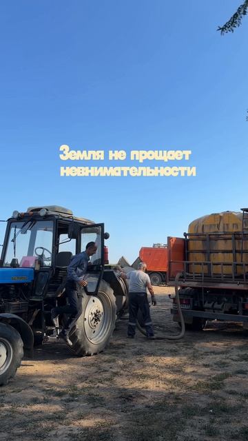 СЗР на винограде