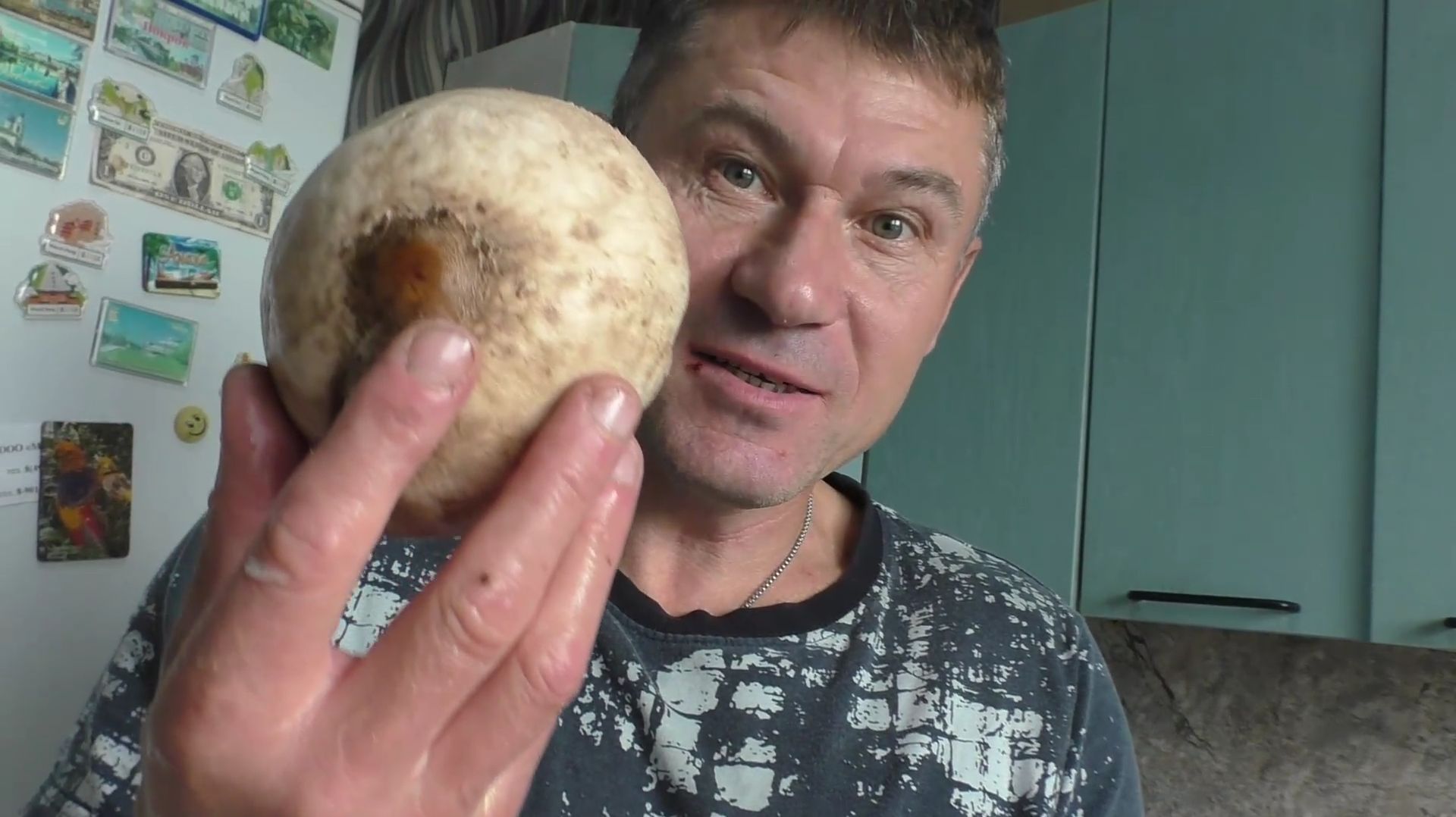 Грибы-зонтики в сметане: нежнейший рецепт на сковороде