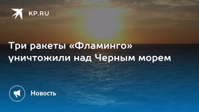 Три крылатые ракеты «Фламинго» уничтожили над Черным морем на значительном удалении от Севастополя,
