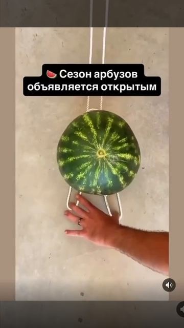 Не благодарите