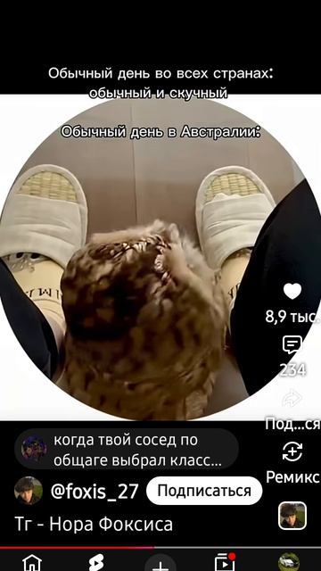 когда живёшь в Астралии