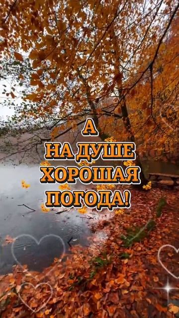 Добрый вечер!