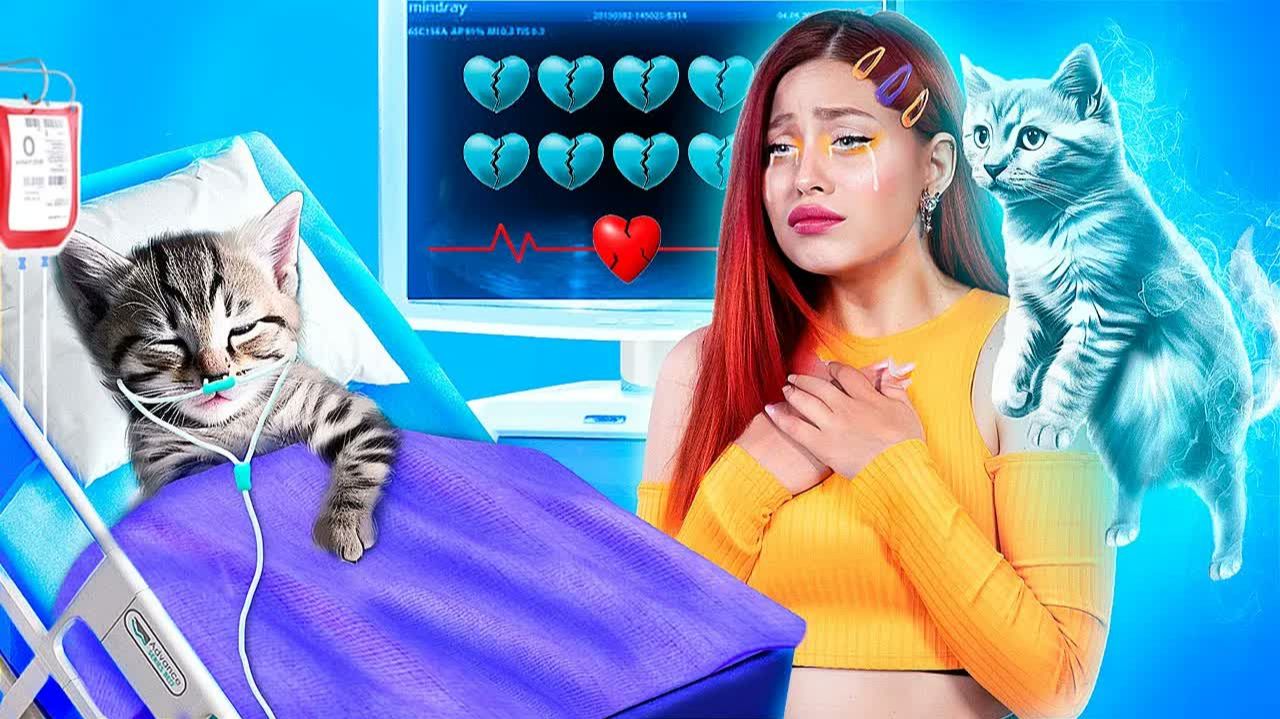 Мы спасли бездомного котенка! Лайфхаки для владельцев животных