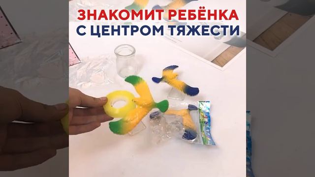 LP202416011