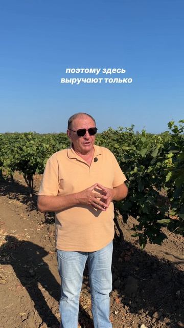 Санитарные зоны обработки растений ЮгАгроХим