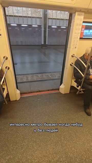 слепошарик ищет нужный автобус. путешествие из Москвы. #путешествие #Москва  #незрячий