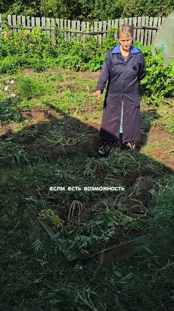 Грядки после сбора урожая