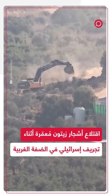 أظهرت مشاهد جرافة إسرائيلية وهي تقتلع عددا من أشجار الزيتون المُعمّرة في