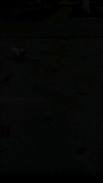 Удивительные животные !!!