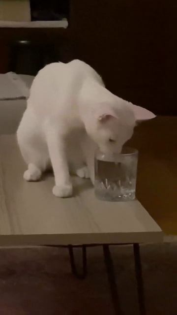 Пить воду только так.