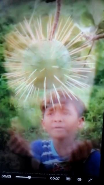 Просто видео