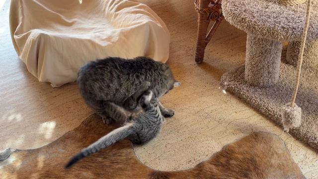 Снова в школу! В конце августа ты всегда чувствуешь себя школьником… 26-08-2026