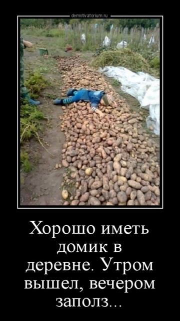 Домик в деревне . Юмор