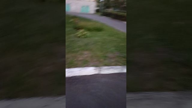 1783.mp4