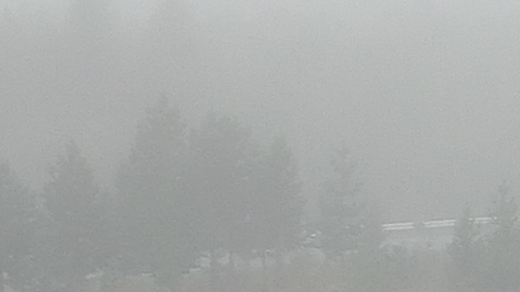 Туман с утра был, а после дождь ☔