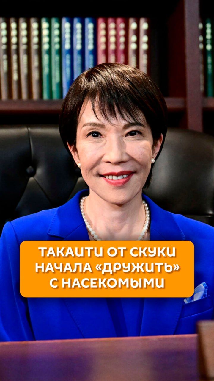 Такаити от скуки начала 