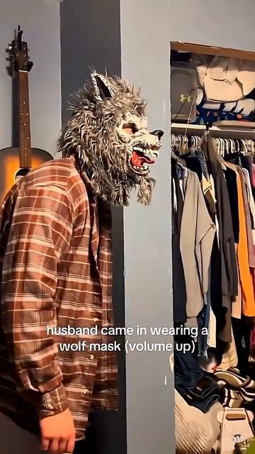 Финал 😂🤣 #кошки