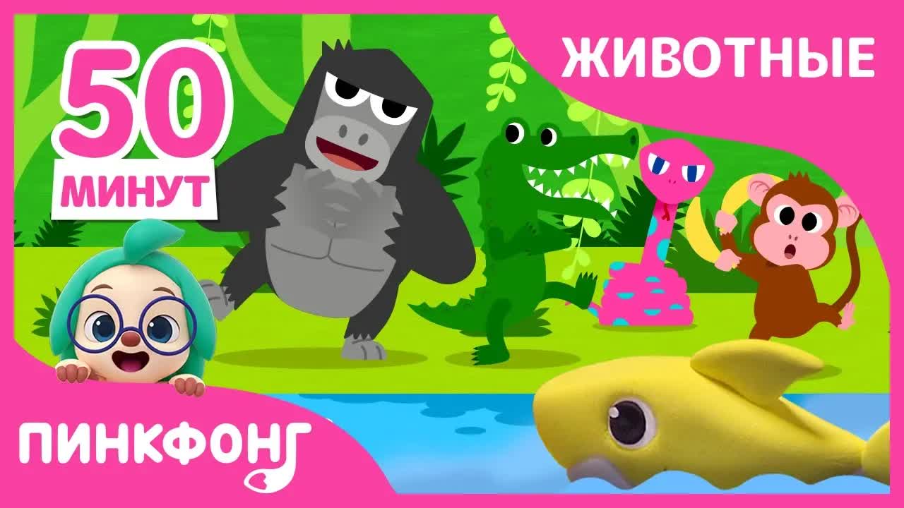 Акулы из Пластилина и другие песни | Песни про Животных | +Сборник | Пинкфонг Песни для Детей