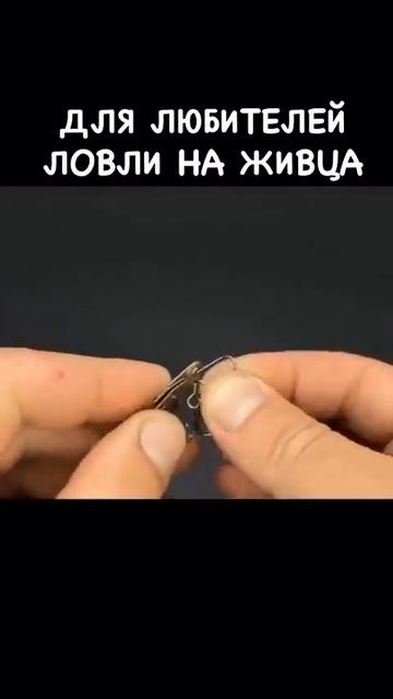 15353373552691