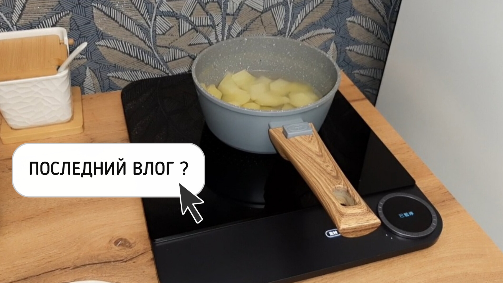 ПОСЛЕДНИЙ ВЛОГ?