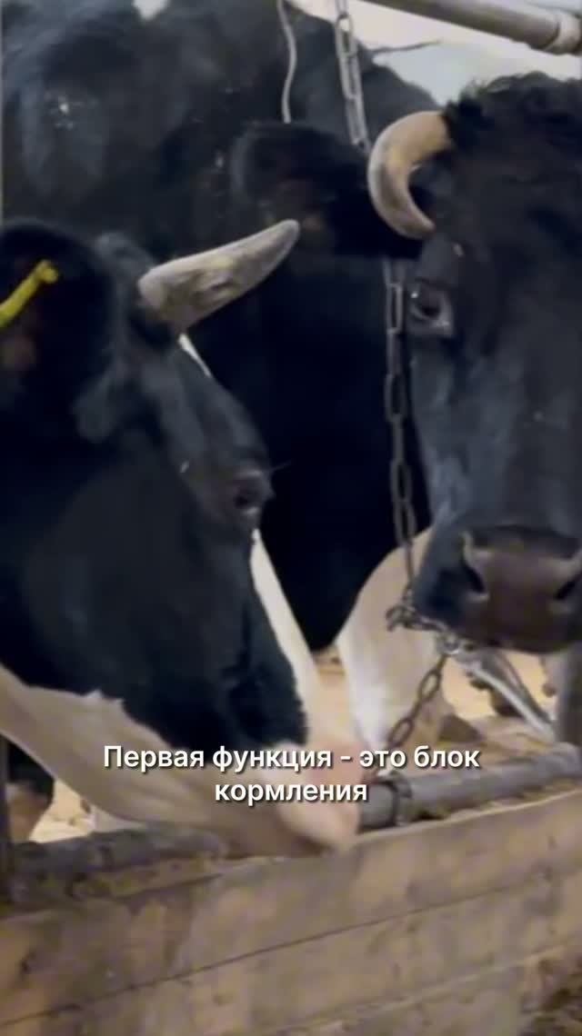 🐮Что нового в «МОЛОКО 2.0»?