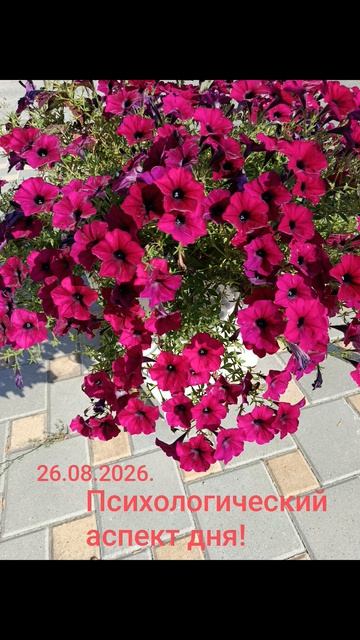 26.08.2026.✨Психологический аспект дня! Справедливость... Используй возможности каждого дня...#разум