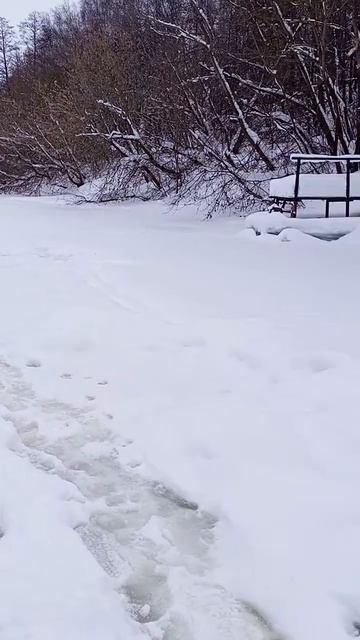 Глухозимье!