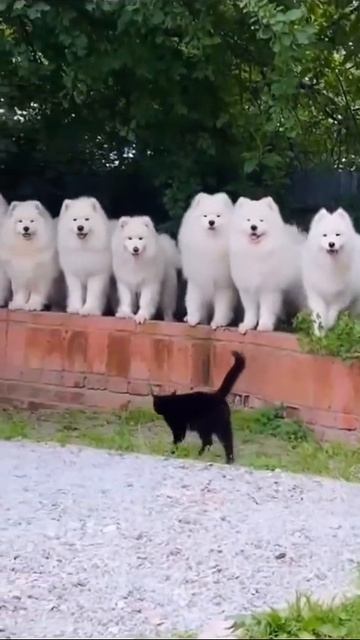 😘 Доброе утро!