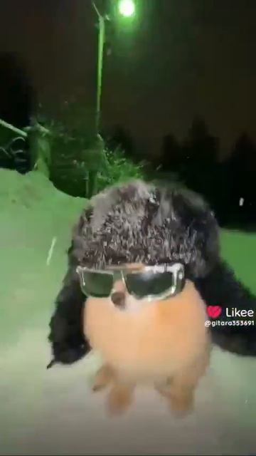 не знаю что писать