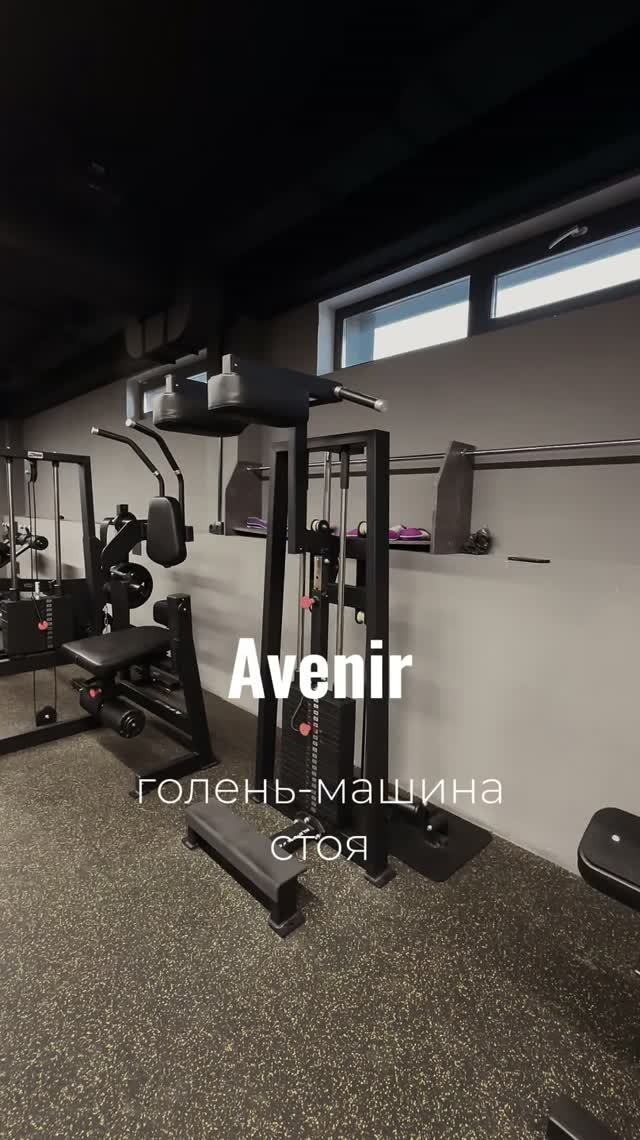 Голень машина стоя 100 кг AV251-80