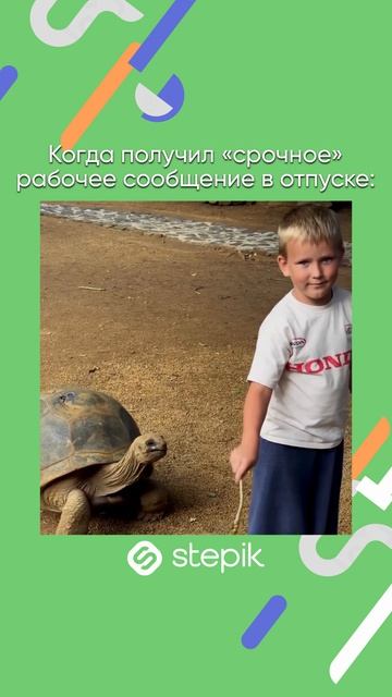 Ссылка на каталог в описании видео👇 А промокод STEPIKRUTUBE25 дает скидку 15% на любой курс Stepik