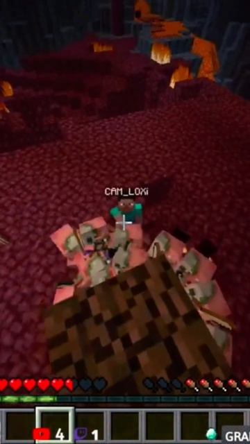 Minecraft Лучшее #1637