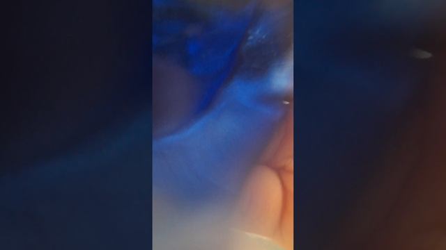 сматрю што внутри вещей