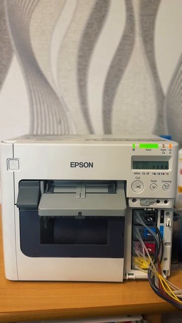 Этикеточный принтер Epson C3500 #EpsonC3500 #этикеточныйпринтер #принтерэтикеток #печатьэтикеток